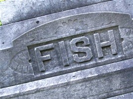 Mary J. Fish