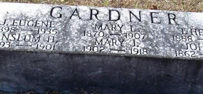 Mary J Gardner