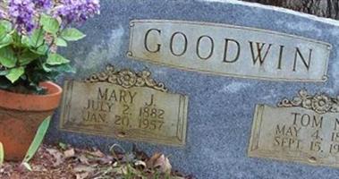Mary J Goodwin