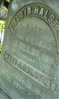 Mary J Halstead