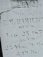 Mary J. Hamilton