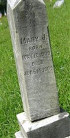Mary J. Harpster