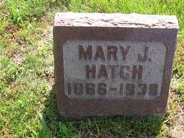 Mary J Hatch