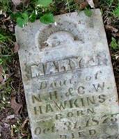 Mary J Hawkins