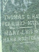 Mary J Haws