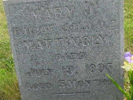 Mary J. Mattingly