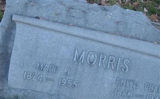 Mary J Morris