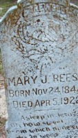 Mary J Reese