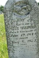 Mary J Skelton Wakefield Mary J Skelton Wakefield