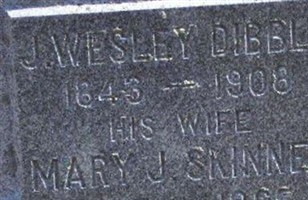 Mary J Skinner Dibble