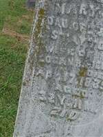 Mary J Stayton Fields Mary J Stayton Fields