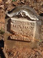 Mary J Wilkerson