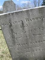 Mary Jacobs Barrows