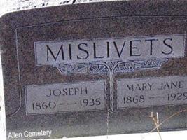 Mary Jane Allen Mislivets