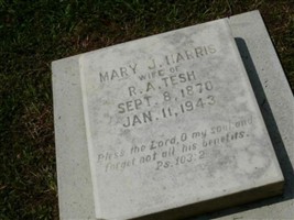 Mary Jane Harris Tesh, IV