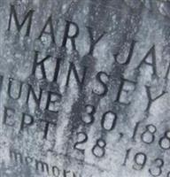 Mary Jane Kinsey