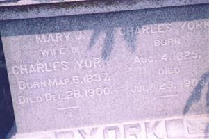 Mary Jane Landreth York