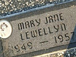 Mary Jane Lewellyn
