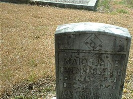 Mary Jane Owens Sosebee