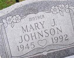 Mary Jane Perkins Johnson