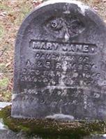 Mary Jane Ramsey
