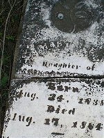 Mary J E Dillon