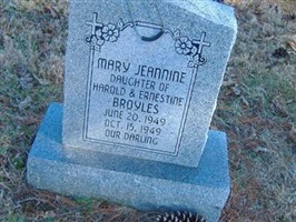 Mary Jeannine Broyles
