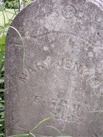 Mary Jenkins Mary Jenkins