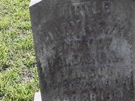 Mary Jewel Vinson