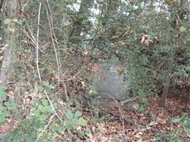 Mary "J.F." Bovard Quine