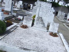 Mary Josephine Mullan Rice