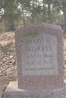 Mary K. Morris