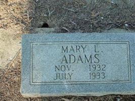 Mary L Adams