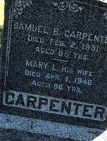 Mary L Carpenter