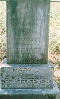 Mary L. David Holland