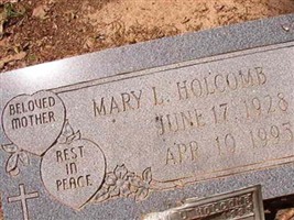 Mary L Holcomb