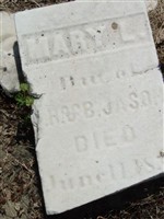 Mary L Jason
