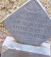 Mary L Laney