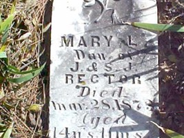 Mary L. Rector Mary L. Rector