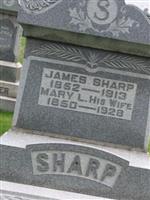 Mary L. Sharp