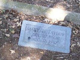 Mary L Taylor