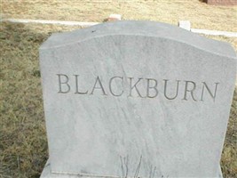 Mary Lee Blackburn Walker