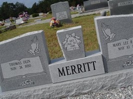 Mary Lee Raybon Merritt Mary Lee Raybon Merritt