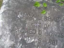 Mary Lenora Brady Marsh