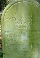 Mary Lillington Hardin Parker