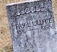 Mary Louise Cecil Williams