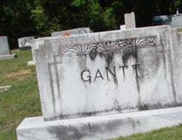 Mary Louise Lance Gantt Mary Louise Lance Gantt