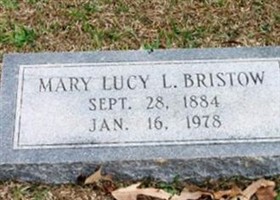 Mary Lucy Lassiter Bristow Mary Lucy Lassiter Bristow