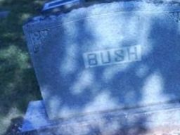 Mary M Bush