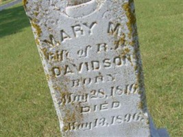 Mary M Davidson